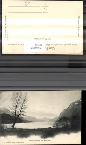 207572,Herbststimmung am Wallensee See Kt Glarus