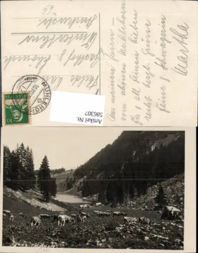 586307,Talalpsee Filzbach Rinder Kühe Switzerland