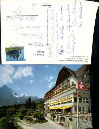 619646,Braunwald Hotel Alpenblick