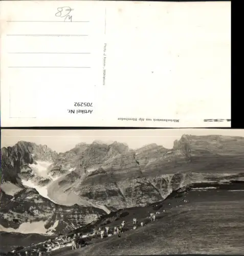 705292 Foto AK Obstalden Mürtschenstock v. Alp Bärenboden Kühe Rinder