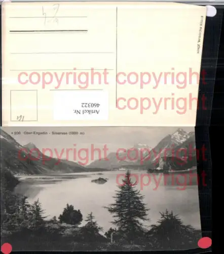 460322,Ober-Engadin Silsersee See b. Sils Bergkulisse Kt Graubünden