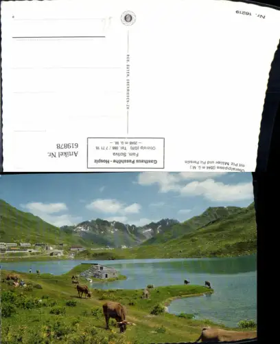 619878,Oberalppass m. Piz Mäler u. Piz Paradis Sedrun