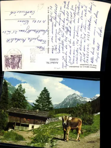 619950,Klosters Blick auf Canardhorn Kuh Rind