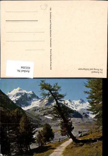 655394,Im Rosegtal Piz Roseg u. Sellagruppe Baum Samedan Val Roseg