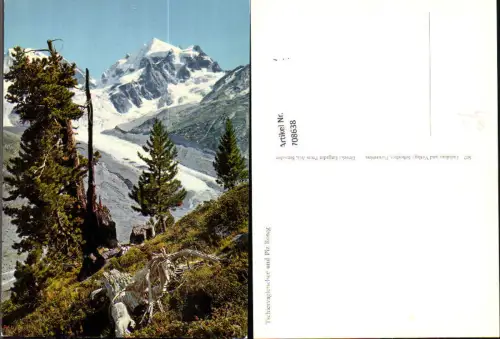 708638 Tschiervagletscher u. Piz Roseg