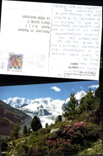 708651 Alpenrosen am Morteratschgletscher mit Berninagruppe Pontresina