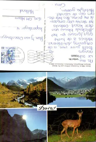 708685 Mehrbild AK Davos Tinzenhorn u. Piz Michel Sertigtal Reh Wild