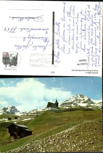 708696 Arosa Krokus-Wiesen beim Bergkirchli Blumen