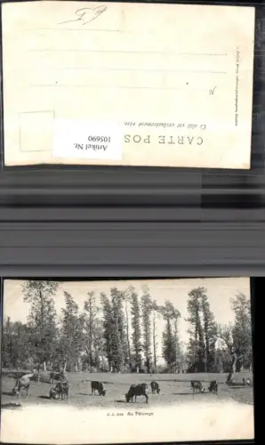 105690,Au Paturage Kuhweide Kanton Jura