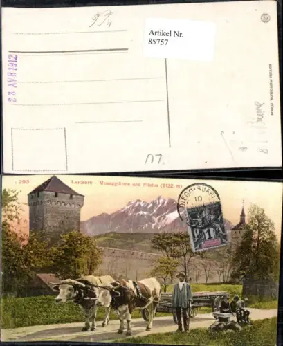 85757,Luzern Museggtürme und Pilatus Ochsengespann Ochsen Kt Luzern