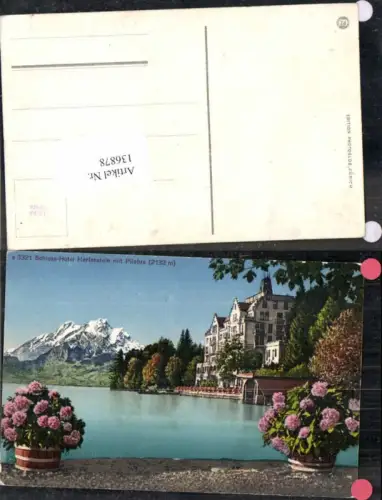 136878,Schloss Hotel Hertenstein m. Pilatus Weggis Kt Luzern