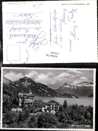 155539,Weggis Hotel Alpenblick Vierwaldstättersee Kt Luzern