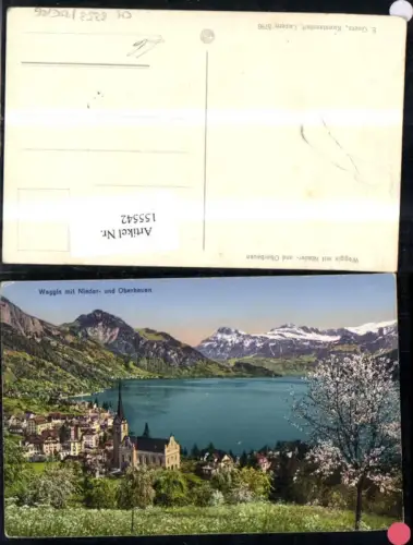 155542,Weggis m. Nieder- u. Oberbauen Vierwaldstättersee Kt Luzern