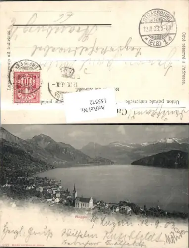 155572,Weggis Vierwaldstättersee 1903