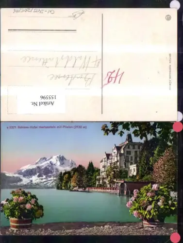 155596,Schloss Hotel Hertenstein m. Pilatus Weggis Luzern Vierwaldstättersee Kt Luzern