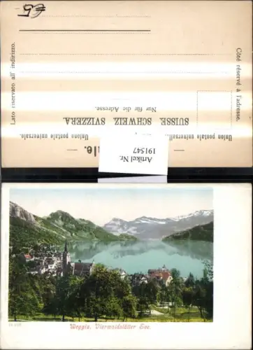 191547,Weggis Teilansicht Vierwaldstätter See Kt Luzern