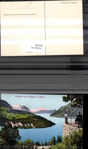 207668,Panorama vom Axenstein m. Pilatus Kt Luzern