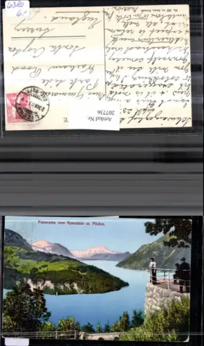 207736,Panorama v. Axenstein m. Pilatus Kt Luzern