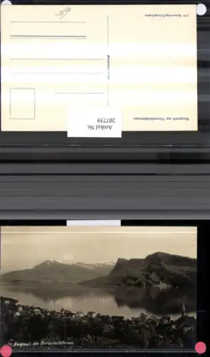 207759,Hergiswil Teilansicht am Vierwaldstättersee pub E. Goetz 1172 Kt Luzern