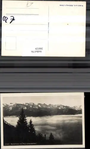 208529,Nebelmeer b. Rigi-Unterstetten Kt Luzern