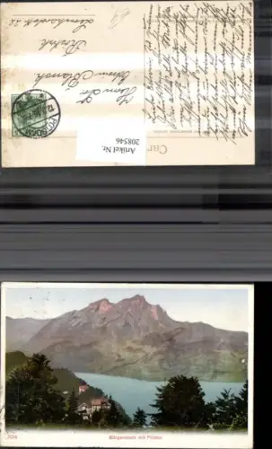 208546,Bürgenstock m. Pilatus Kt Luzern