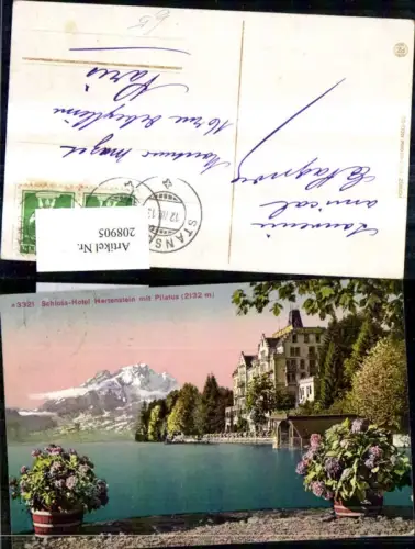 208905,Schloss-Hotel Hertenstein m. Pilatus Weggis Vierwaldstättersee Kt Luzern