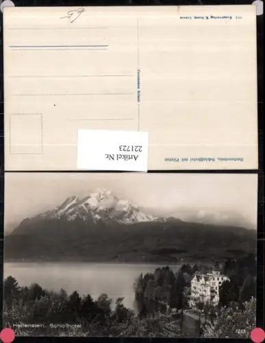 221723,Hertenstein Schlosshotel m. Pilatus pub E. Goetz 1013 Kt Luzern