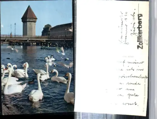 309685,Luzern Kapellbrücke Brücke Wasserturm Schwäne