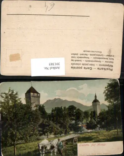 391385,Luzern Auf Musegg Türme Rinder Kühe