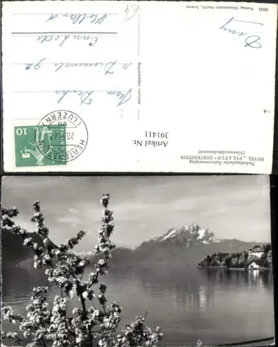 391411,Weggis Hertenstein Hotel Pilatus See Bergkulisse Kt Luzern