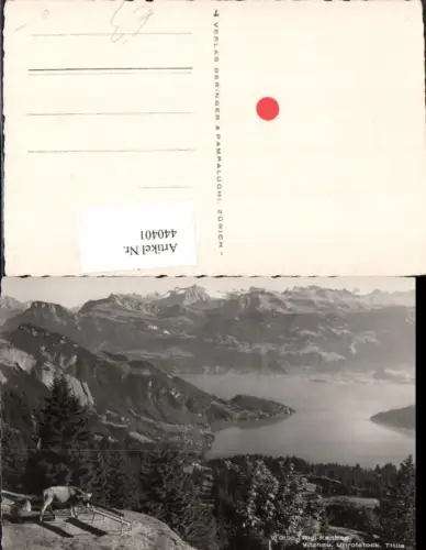 440401,Rigi-Kaltbad Vitznau Urirotstock Titlis Bergkulisse Kt Luzern