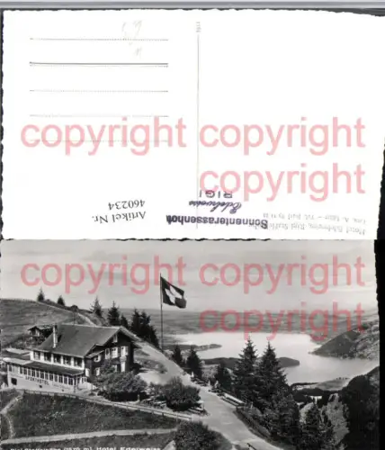 460234,Rigi-Staffelhöhe b. Vitznau Hotel Edelweiss Kt Luzern