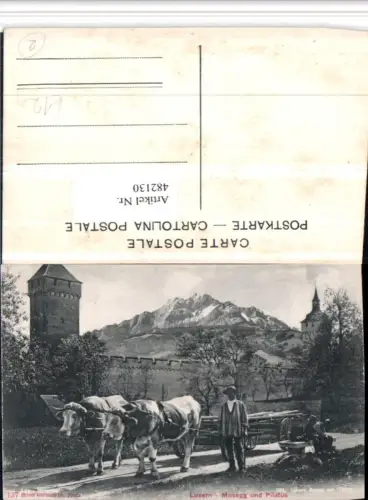 482130,Luzern Musegg Turm m. Pilatus Rindergespann Bergkulisse