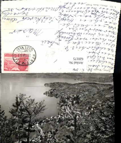 620175,Foto Ak Weggis Ansicht 1954
