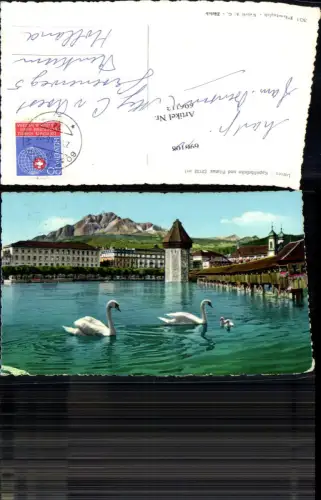 696113 Luzern Kapellbrücke Wasserturm Schwan Schwäne