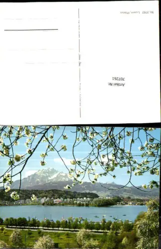 707261 Luzern Lucerne Schweiz alte Ansichtskarte