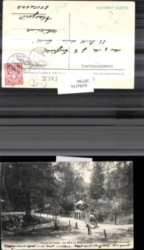 207786,Chaux-de-Fonds Au Bois du Petit Chateau Partie Kt Neuenburg