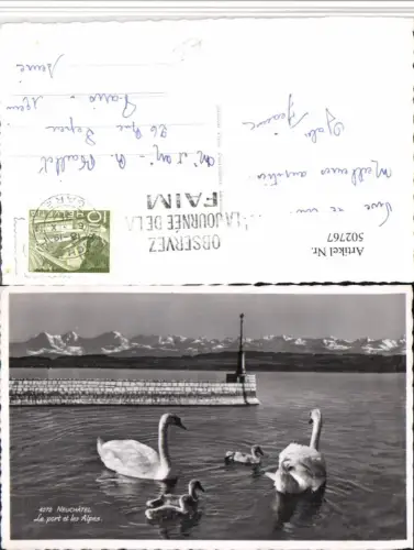 502767,Neuchatel Neuenburg Le port et les Alpes Schwäne Bergkulisse