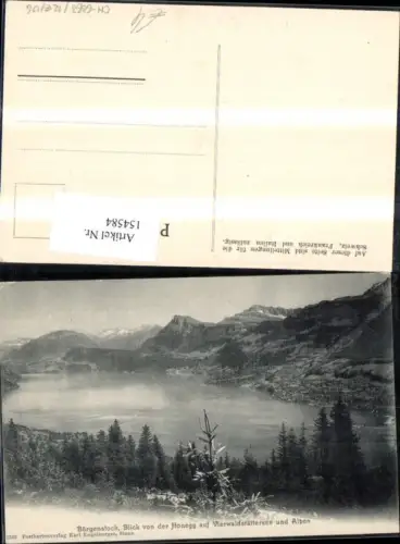 154584,Bürgenstock Blick v. d. Honegg a. Vierwaldstättersee u. Alpen Kt Nidwalden