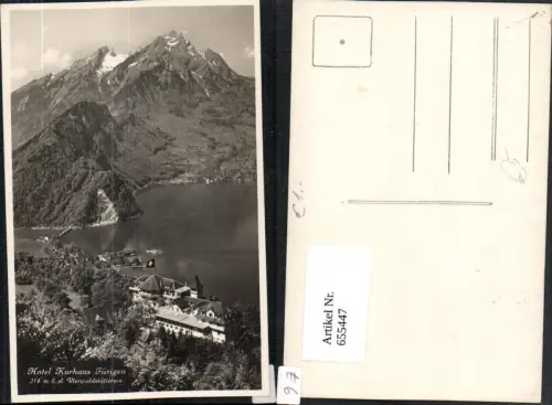 655447,Hotel Kurhaus Fürigen Vierwaldstättersee Stansstad