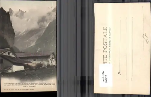 105827,Engelberg Kuh vor Bauernhof Kanton Obwalden