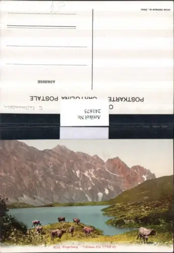 241675,Engelberg Trübsee.Alp Partie Bergkulisse Kt Obwalden
