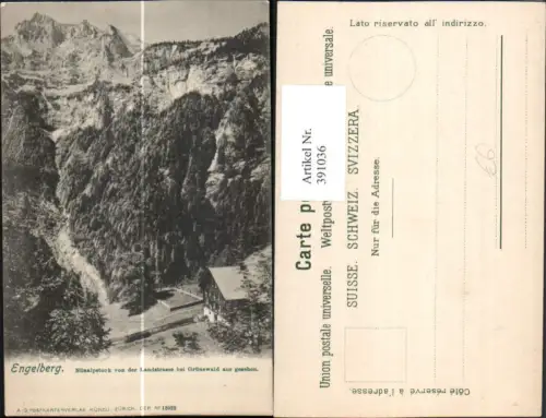 391036,Engelberg Nünalpstock von d. Landstraße bei Grünewald Bergkulisse Kt Obwalden