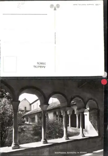 350876,Schaffhausen Münster Kreuzgang Arkaden