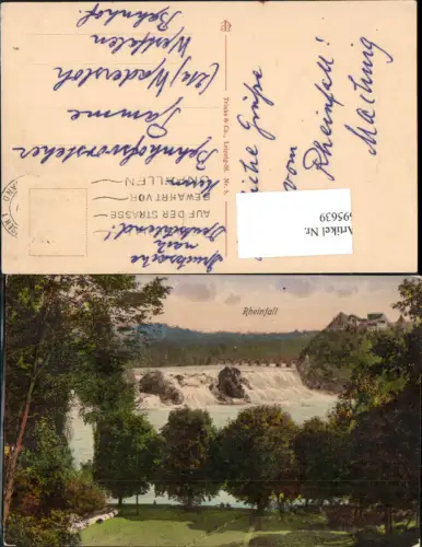 695639 Rheinfall bei Schaffhausen mit Park gel Wadersloh Westfalen Warendorf