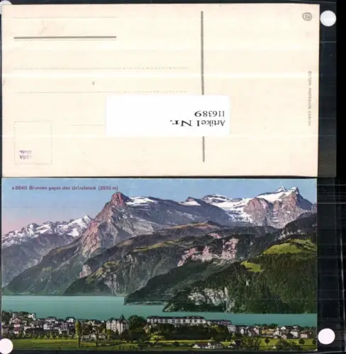 116389,Brunnen gegen Uristock Kt Schwyz