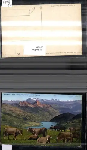 207825,Rigi-Kulm Blick auf d. Lowerzerseeu. d. Mythen Glärnisch Faulen Hochturm Ortstock pub E. Goetz 5175 Kt Schwyz