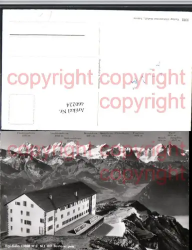 460224,Rigi-Kulm m. Berneralpen Bergkulisse Kt Schwyz