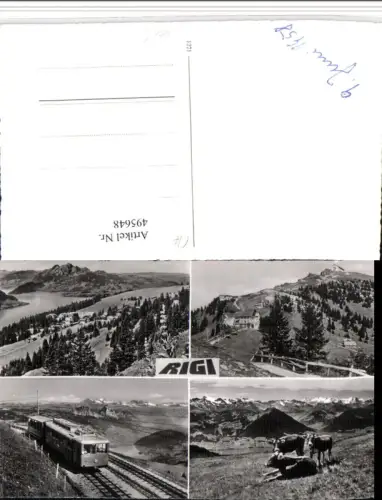 495648,Rigi b. Arth Totale Zahnradbahn Rinder Mehrbildkarte Kt Schwyz