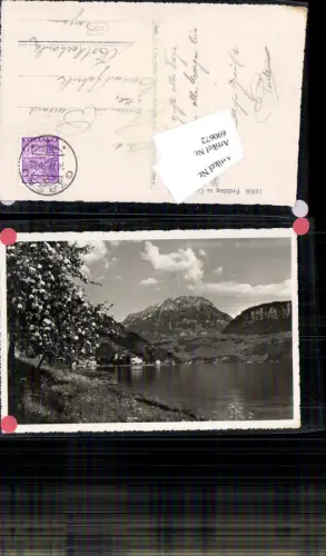 690672 tolle Foto-AK Frühling in Gersau Schwyz